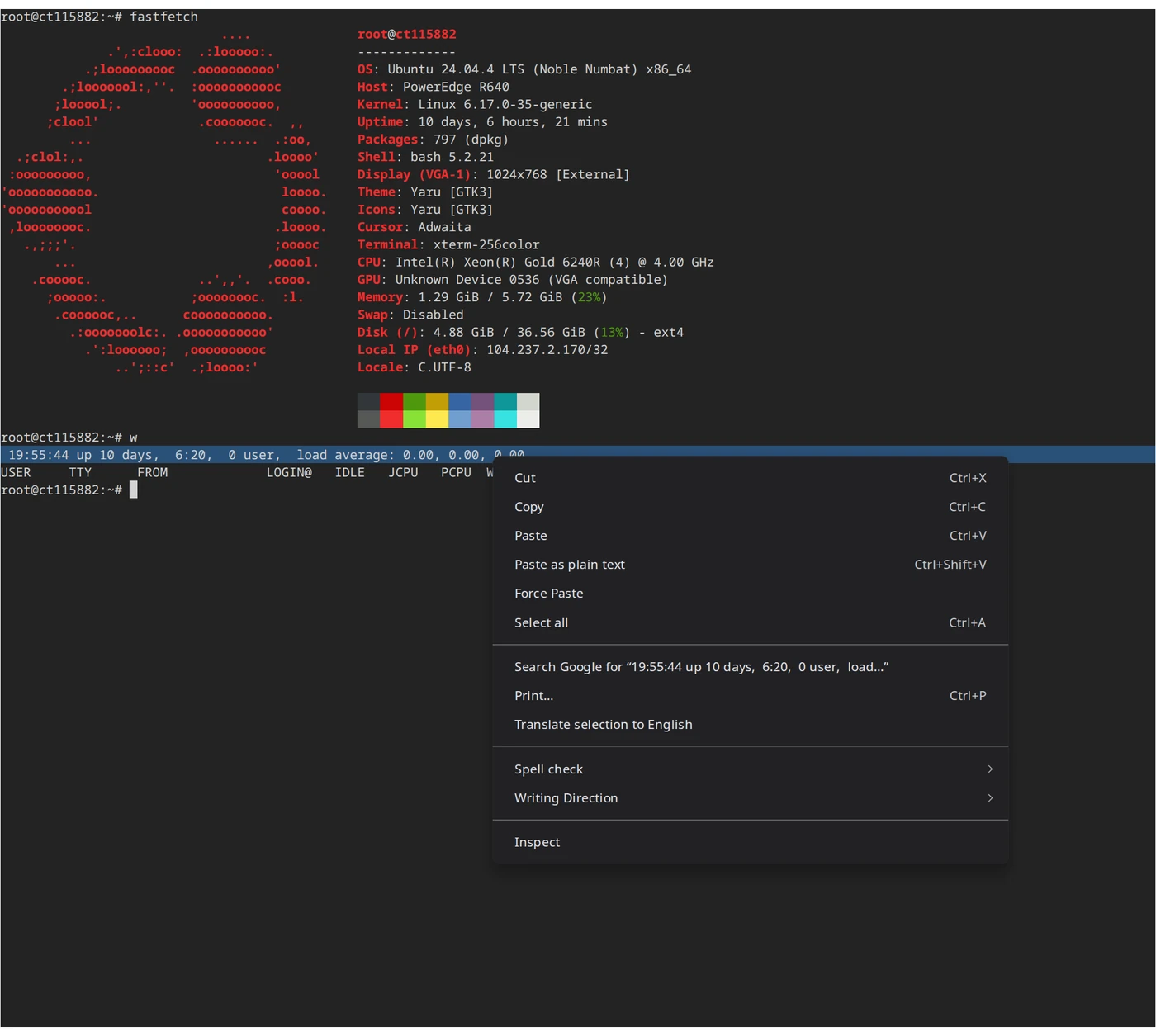 VPSDime control panel — web terminal console