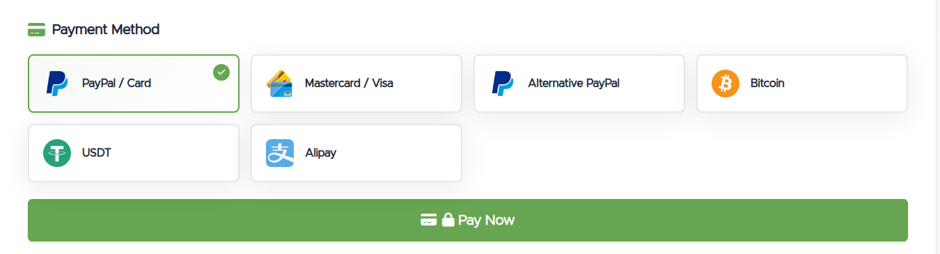 The Payment Method selector on an unpaid invoice, with options like PayPal / Card, Mastercard / Visa, Alternative PayPal, Bitcoin, USDT, and Alipay, above a Pay Now button