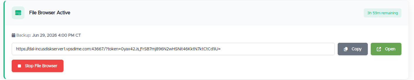The File Browser Active panel: the backup date, the private access link with Copy and Open buttons, the time remaining, and a Stop File Browser button