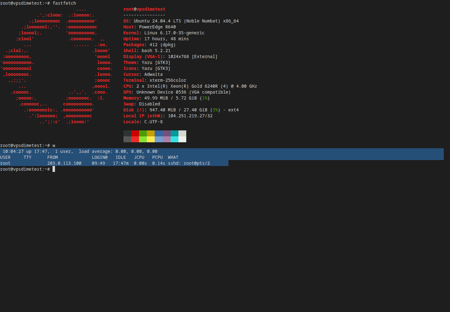 The out-of-band Console: a terminal view of the VPS's screen, here logged in at a root shell