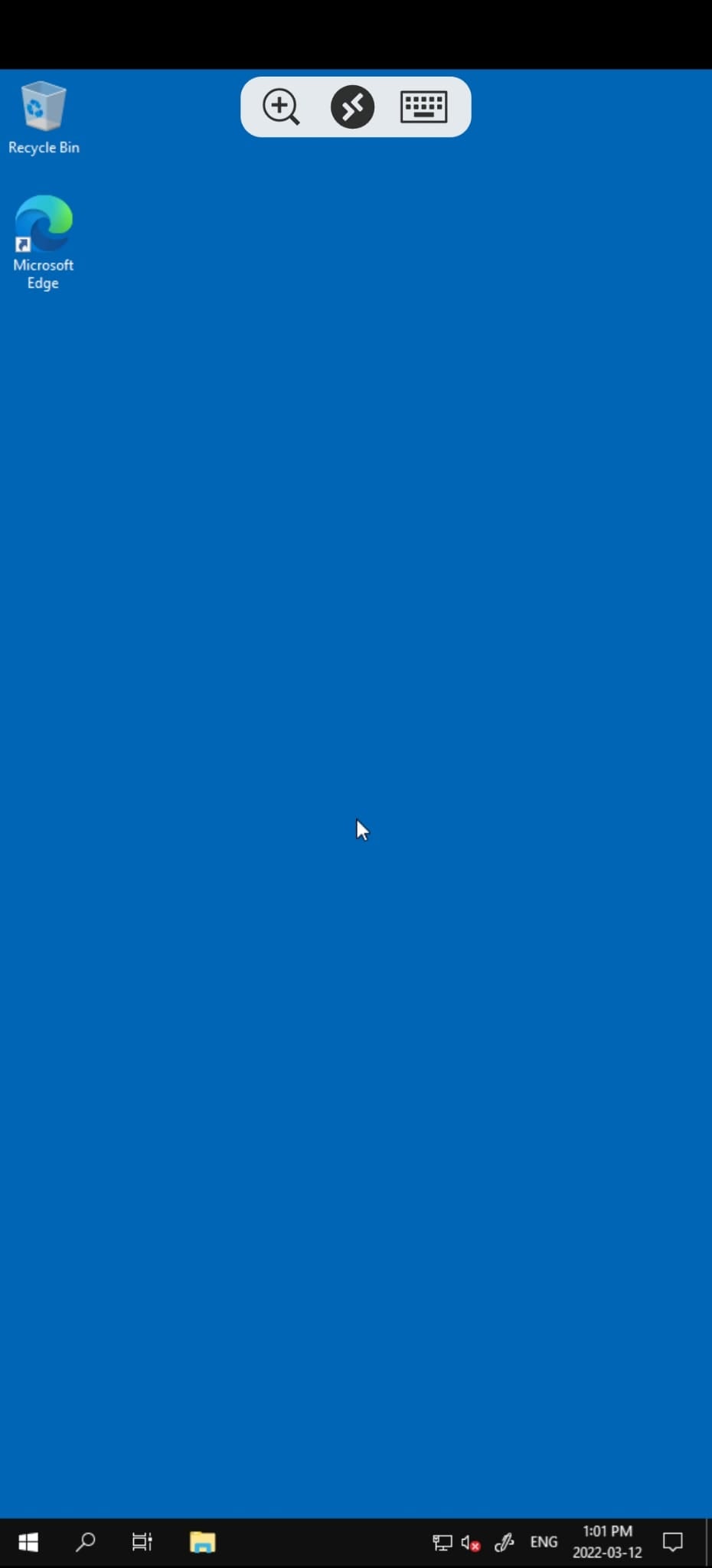 Windows Server desktop displayed on an Android device
